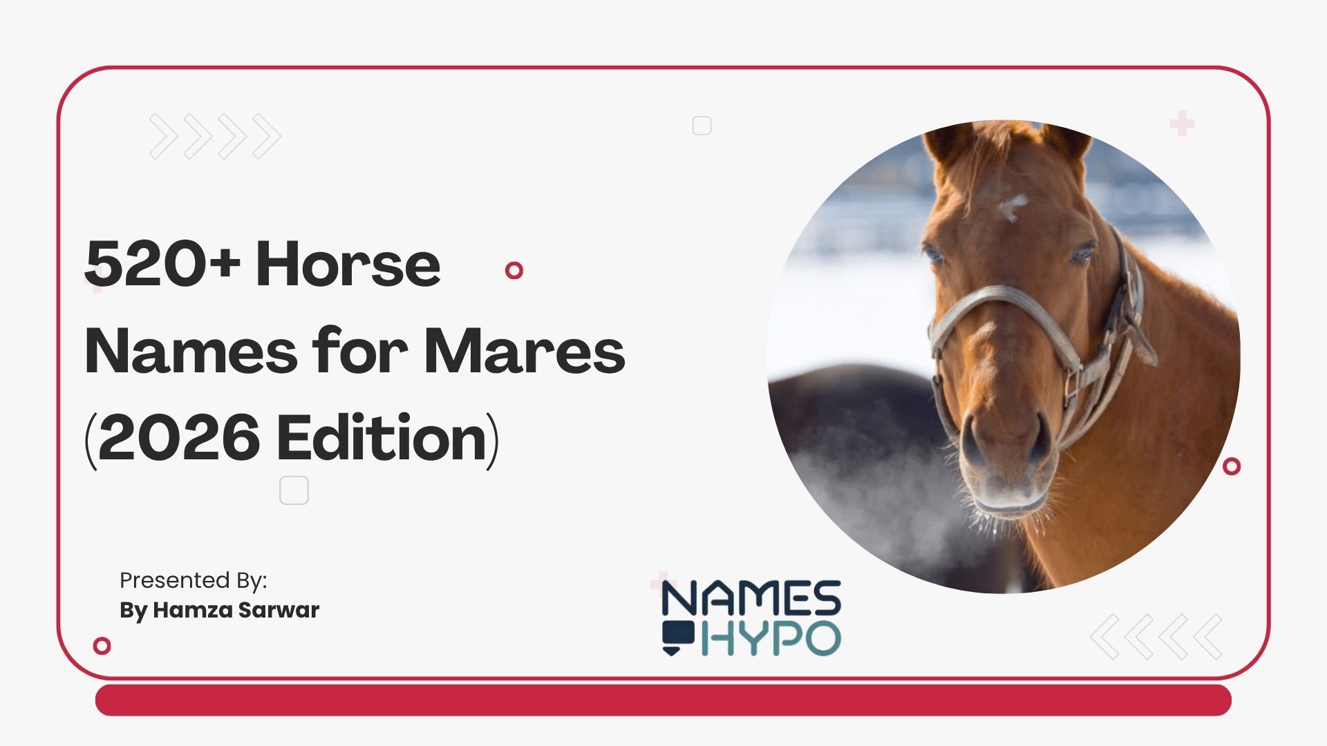 Horse Names for Mares