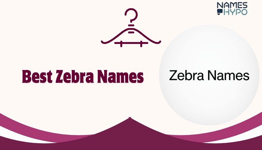 Zera Names 261+ Catchy Zebra Names With Name Generator